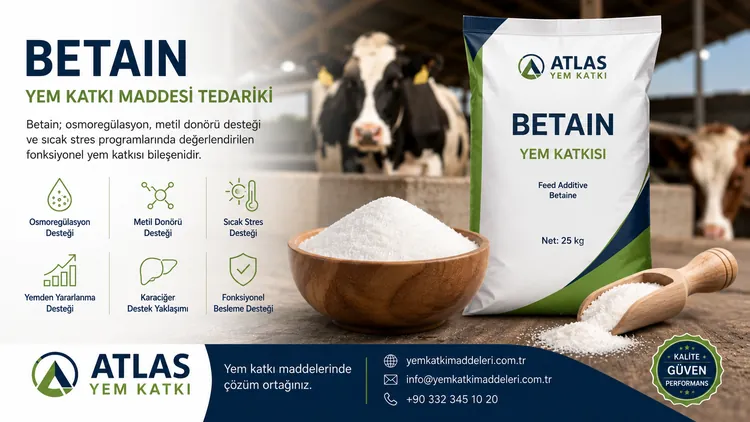 Betain