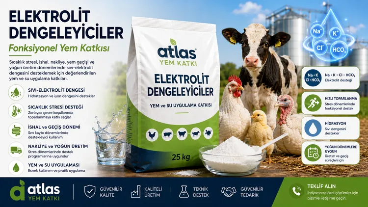 Elektrolit Dengeleyiciler